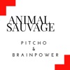 Animal Sauvage - Single artwork