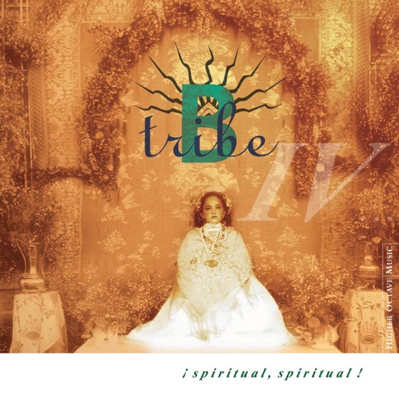Cover artwork for She Moves Through the Fair