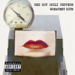 Red Hot Chili Peppers - soul to squeeze