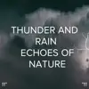!!!" Thunder and Rain Echoes of Nature"!!! album lyrics, reviews, download