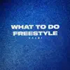 What To Do Freestyle - Single album lyrics, reviews, download