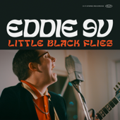Little Black Flies - Eddie 9V
