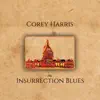 The Insurrection Blues album lyrics, reviews, download