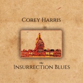 Corey Harris - Insurrection Blues (Chickens Come Home To Roost)