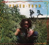 Peter Tosh - Second Hand (ShaJahShoka Dub Plate)