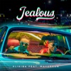 Jealous (feat. Mayorkun) - Single