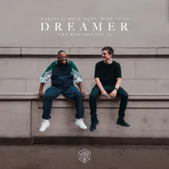 Dreamer (Brooks Remix) Song Lyrics