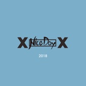Nice Day 2018 artwork