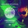 Dreaming (Ezel Remixes)