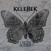 Kelebek artwork