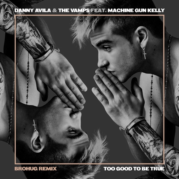 Too Good to Be True (feat. Machine Gun Kelly) [Brohug Remix] - Single - Danny Avila & The Vamps
