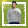 Best of Meysam Ebrahimi, Vol. 1