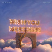 Wish You Were Here (feat. Wink XY) artwork