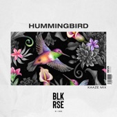 Hummingbird (Kaaze Extended Mix) artwork