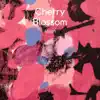 Cherry Blossom - Single album lyrics, reviews, download