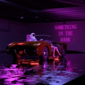 Something in the Dark artwork