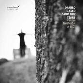 Danilo Gallo Dark Dry Tears - No Boundaries