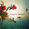 Baptized (Deluxe Version) - Daughtry