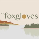 The Foxgloves - Johnson City