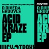 R Rivera Grooves - Feel the Vibe (Extended Mix)
