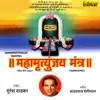 Mahamrityunjay Mantra album lyrics, reviews, download