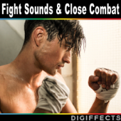 Fighting Sounds and Close Combat - Digiffects Sound Effects Library