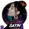Toonesti Eshgham (DJ Mamsi Remix) - Single