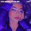 You Never Loved Me - Single album lyrics, reviews, download