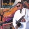 We'll Be Missing You (feat. Will Downing) - Najee lyrics