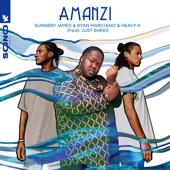 Amanzi (feat. Just Bheki) artwork