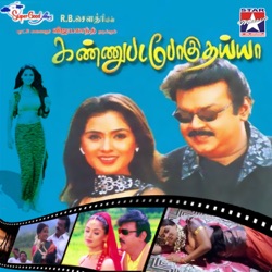 Mano & Chitra - Anandham Anandham