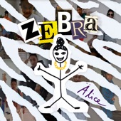ZEBRA artwork