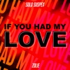 If You Had My Love (feat. Zolie) - Single