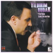 Yardan Çektiklerim artwork