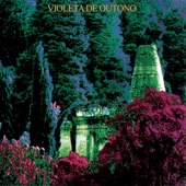 Violeta de Outono