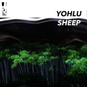 YOHLU - SHEEP