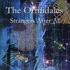 Strangers After All - Single