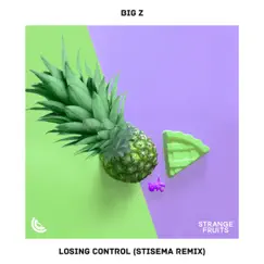 Losing Control (Stisema Remix) Song Lyrics