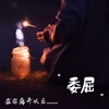 不二臣 - 委屈 (抖音热搜版)