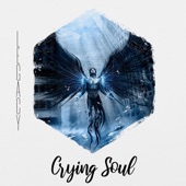 Crying Soul (DJ Splash Remix) artwork