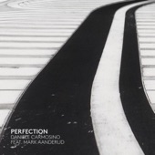 Perfection (feat. Mark Aanderud) [Solo Piano Version] artwork