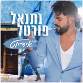 אידיוט artwork