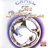 Camel - Migration