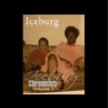 Iceburg Chronicles