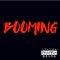 Boom (feat. TxTooley) - Shawty Ville lyrics