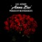 Ainna Bae - King Allico lyrics