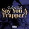 Say You a Trapper? (feat. BigWalkDog) - Hester Shawty lyrics