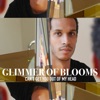 Can't Get You out Of My Head by Glimmer of Blooms iTunes Track 1