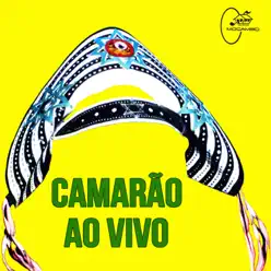 Camarão (Ao Vivo) - Camarão