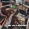 Stream & download Me Vale Madres - Single